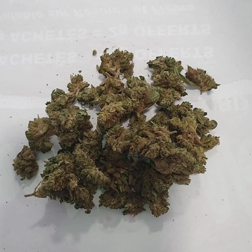 Lemon Haze SB