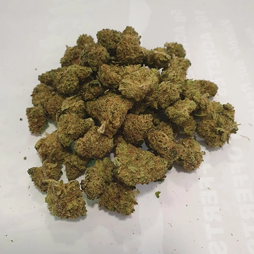 Gelato SB