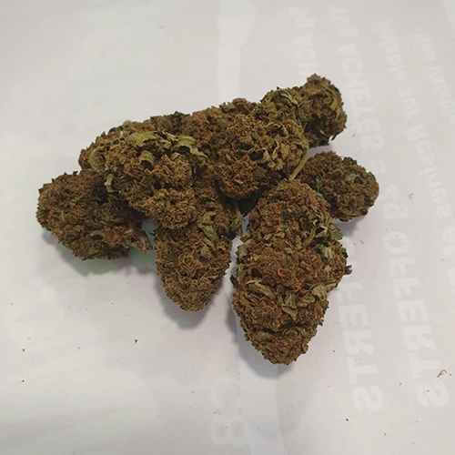 White Widow