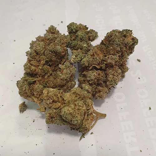 Zeus OG