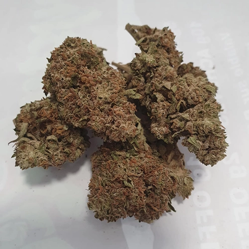 CBG Snow White 0% THC