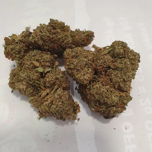 Critical 10-OH